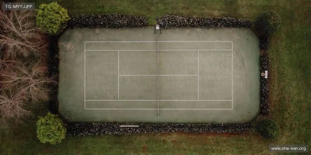 拼图类手机游戏网：碎片拼凑完整图像，培养耐心与观察力